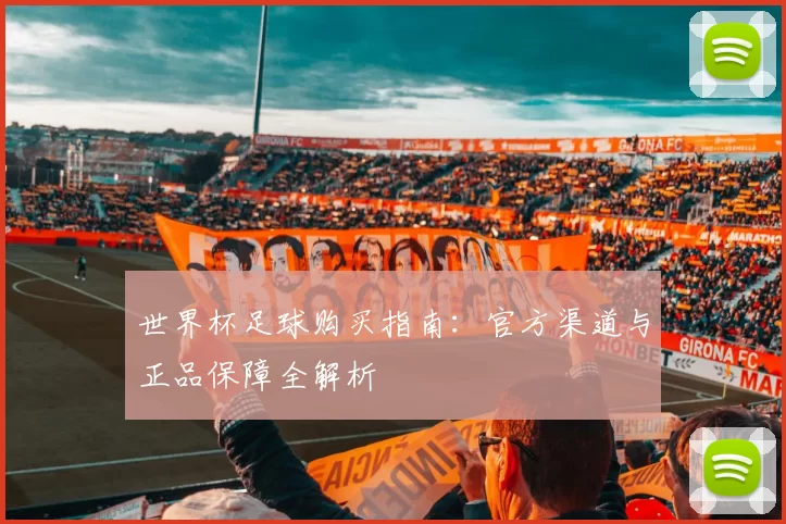 世界杯足球购买指南:官方渠道与正品保障全解析