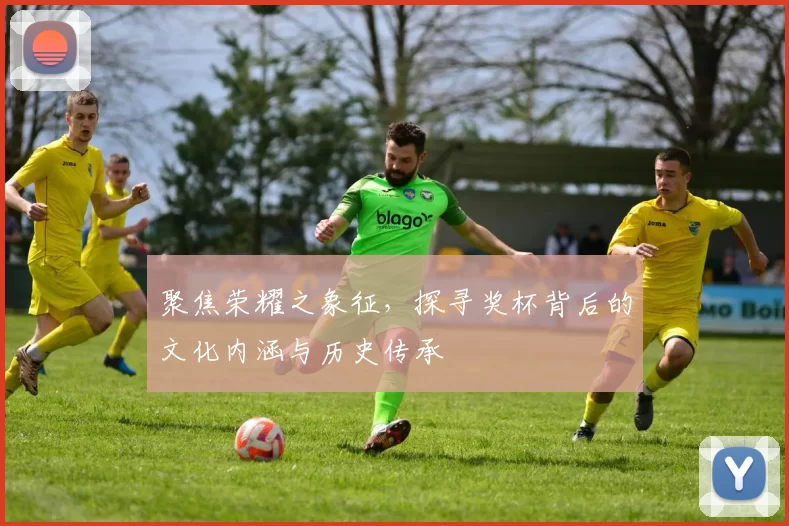 聚焦荣耀之象征，探寻奖杯背后的文化内涵与历史传承