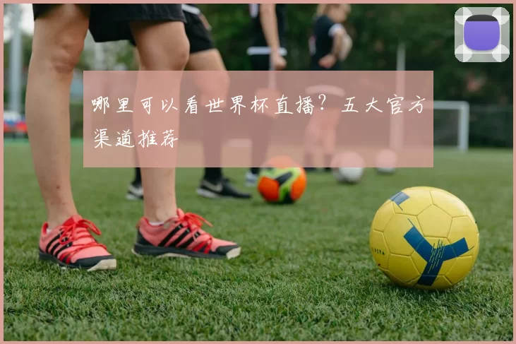 哪里可以看世界杯直播？五大官方渠道推荐
