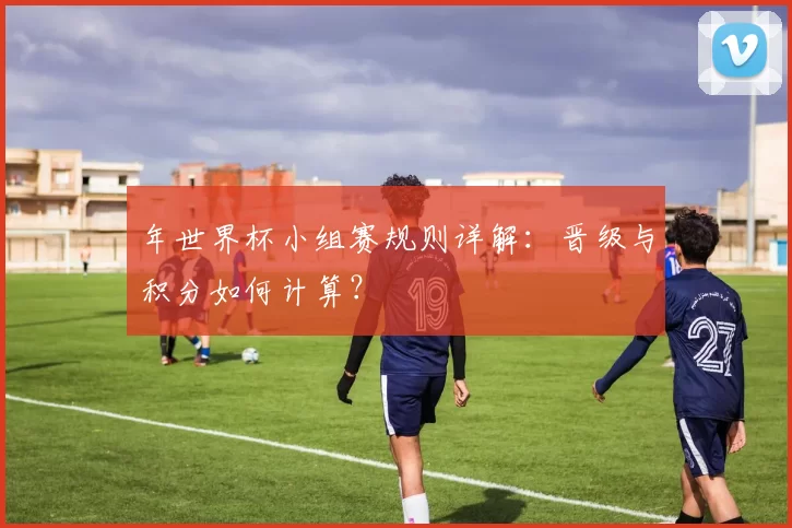 年世界杯小组赛规则详解:晋级与积分如何计算?
