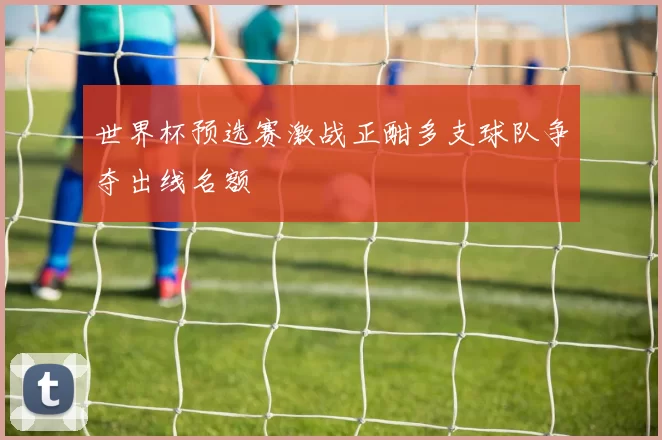 世界杯预选赛激战正酣多支球队争夺出线名额