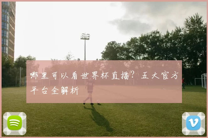 哪里可以看世界杯直播？五大官方平台全解析