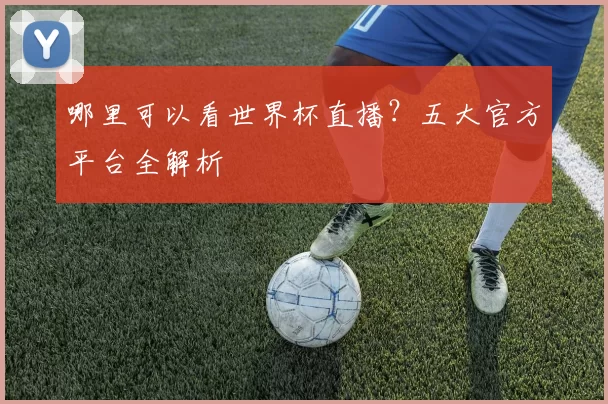 哪里可以看世界杯直播?五大官方平台全解析