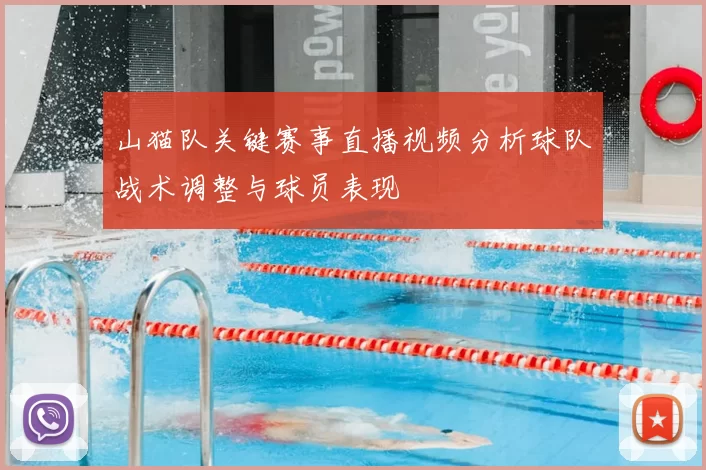 山猫队关键赛事直播视频分析球队战术调整与球员表现