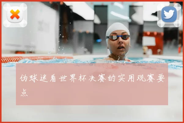 伪球迷看世界杯决赛的实用观赛要点