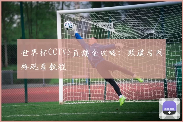 世界杯CCTV5直播全攻略：频道与网络观看教程
