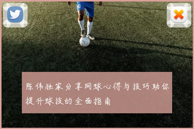 陈伟独家分享网球心得与技巧助你提升球技的全面指南