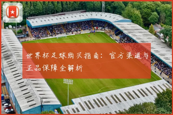 世界杯足球购买指南：官方渠道与正品保障全解析