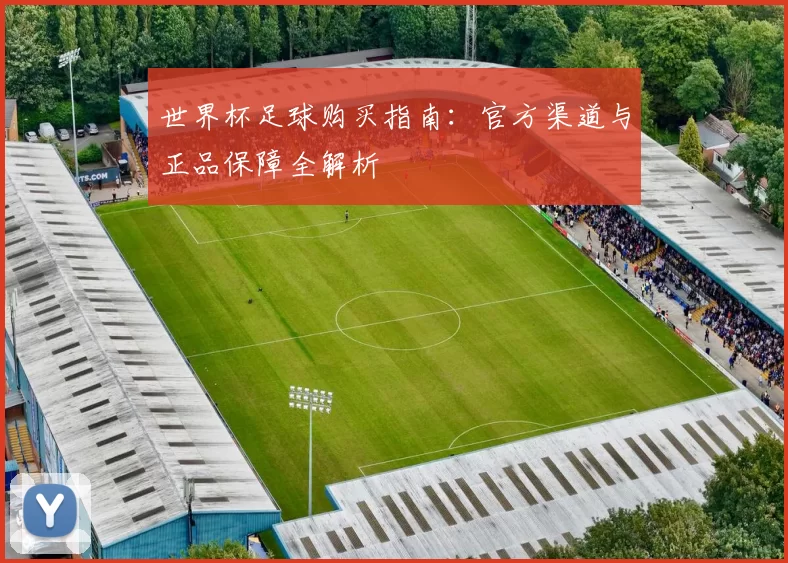 世界杯足球购买指南：官方渠道与正品保障全解析