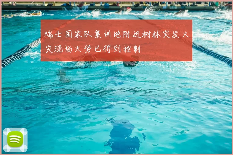 瑞士国家队集训地附近树林突发火灾现场火势已得到控制