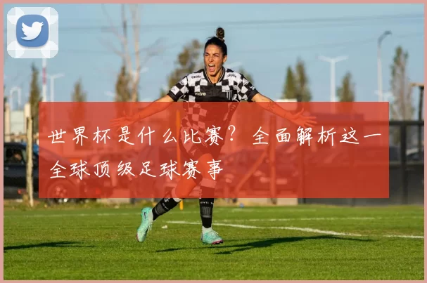 世界杯是什么比赛?全面解析这一全球顶级足球赛事