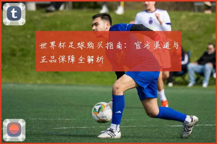 世界杯足球购买指南:官方渠道与正品保障全解析