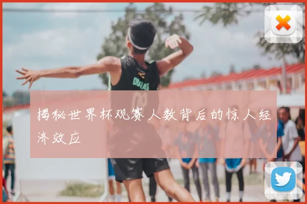 揭秘世界杯观赛人数背后的惊人经济效应
