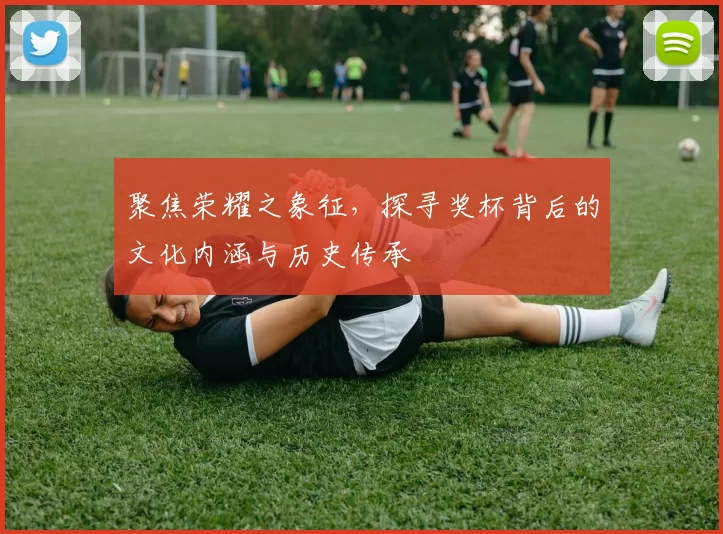 聚焦荣耀之象征，探寻奖杯背后的文化内涵与历史传承
