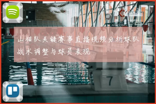 山猫队关键赛事直播视频分析球队战术调整与球员表现