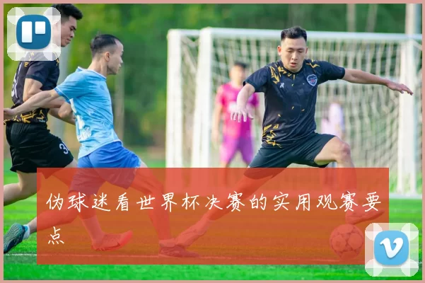 伪球迷看世界杯决赛的实用观赛要点