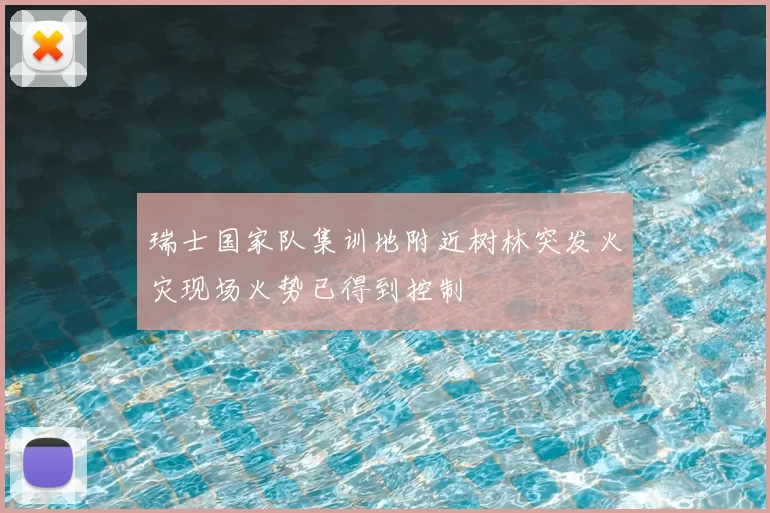 瑞士国家队集训地附近树林突发火灾现场火势已得到控制